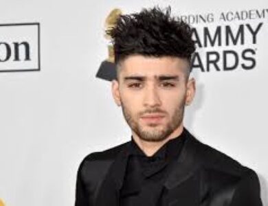 zayn malik net worth