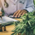 Medical Cannabis